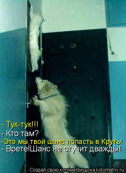 - Тук-тук!!! - Кто там? -Это мы,твой шанс попасть в Круть! - Врете!Шанс не стучит дважды!... Котоматрица: - Тук-тук!!! - Кто там? -Это мы,твой шанс попасть в Круть! - Врете!Шанс не стучит дважды!