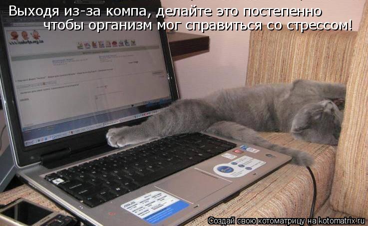 Выходя из-за компа, делайте это постепенно чтобы организм мог справиться со стрессом!... Котоматрица: Выходя из-за компа, делайте это постепенно чтобы организм мог справиться со стрессом!