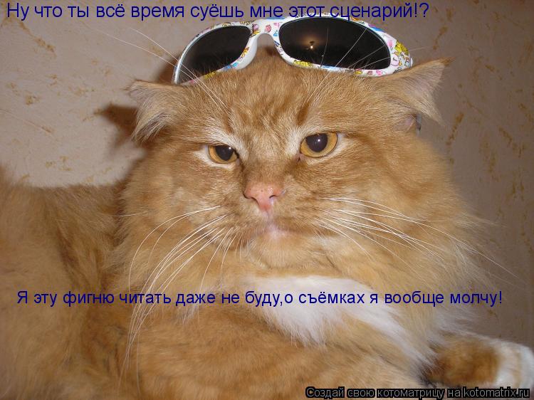 Ну что ты всё время суёшь мне этот сценарий!? Я эту фигню читать даже не буду,о съёмках я вообще молч... Котоматрица: Ну что ты всё время суёшь мне этот сценарий!? Я эту фигню читать даже не буду,о съёмках я вообще молчу!