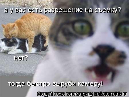 а у вас есть разрешение на съемку? нет? тогда быстро выруби камеру!... Котоматрица: а у вас есть разрешение на съемку? нет? тогда быстро выруби камеру!