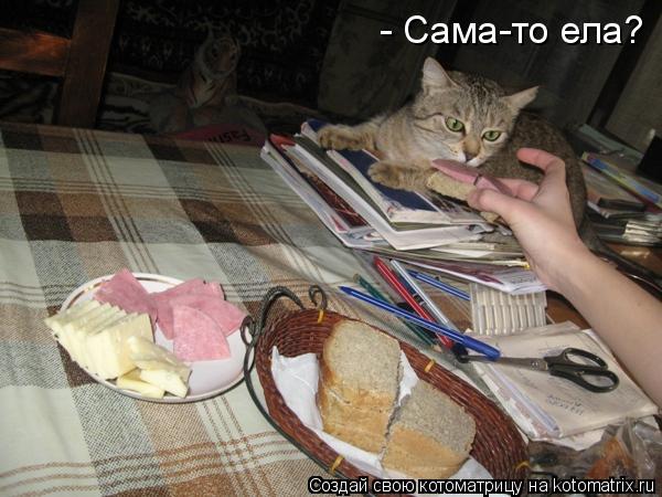 - Сама-то ела?... Котоматрица: - Сама-то ела?