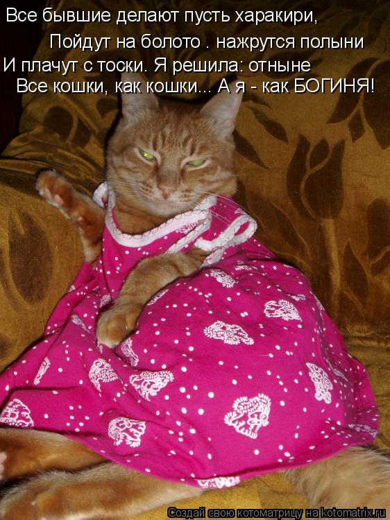 Все бывшие делают пусть харакири, Все бывшие делают пусть харакири, Пойдут на болото – нажрутся пол... Котоматрица: Все бывшие делают пусть харакири, Все бывшие делают пусть харакири, Пойдут на болото – нажрутся полыни И плачут с тоски. Я решила: отныне