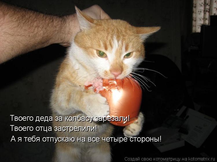 Твоего деда за колбасу зарезали! Твоего отца застрелили! А я тебя отпускаю на все четыре стороны!... Котоматрица: Твоего деда за колбасу зарезали! Твоего отца застрелили! А я тебя отпускаю на все четыре стороны!