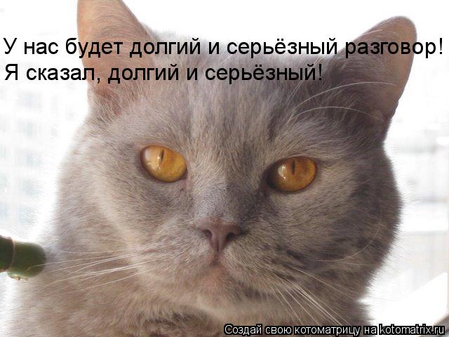 У нас будет долгий и серьёзный разговор! У нас будет долгий и серьёзный разговор! Я сказал, долгий и ... Котоматрица: У нас будет долгий и серьёзный разговор! У нас будет долгий и серьёзный разговор! Я сказал, долгий и серьёзный!