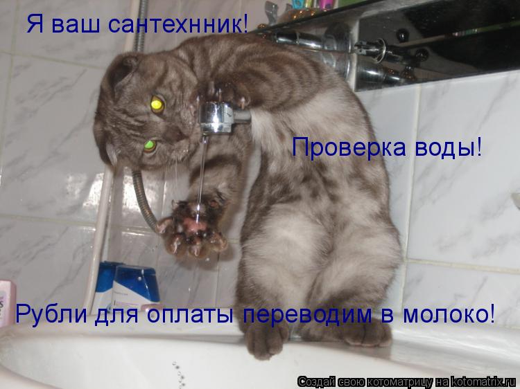 Котоматрица: Я ваш сантехнник! Проверка воды! Рубли для оплаты переводим в молоко!