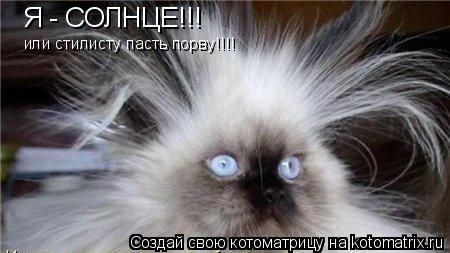 Я - СОЛНЦЕ!!! или стилисту пасть порву!!!!... Котоматрица: Я - СОЛНЦЕ!!! или стилисту пасть порву!!!!
