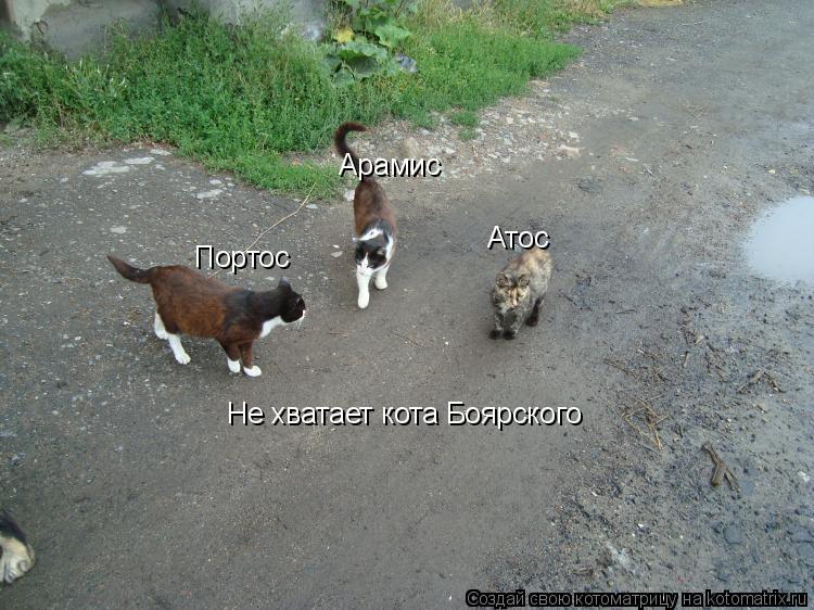 Атос Портос Арамис Не хватает кота Боярского... Котоматрица: Атос Портос Арамис Не хватает кота Боярского