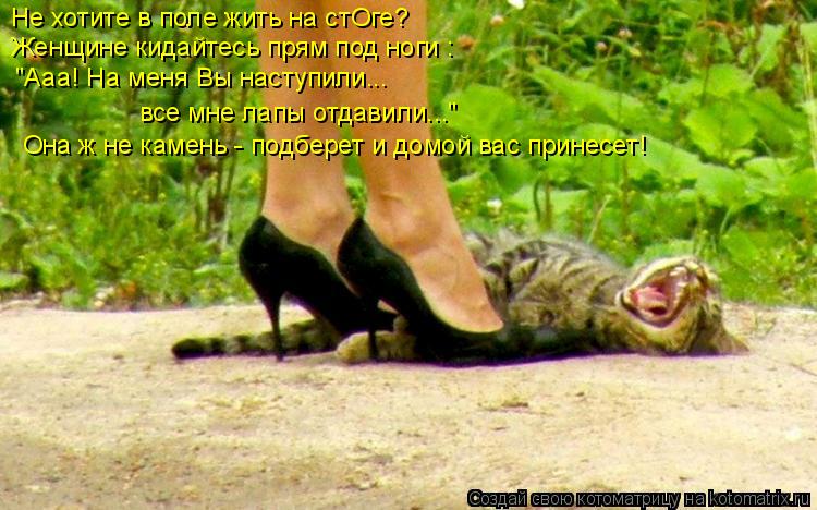 Не хотите в поле жить на стОге? Женщине кидайтесь прям под ноги : "Ааа! На меня Вы наступили... все... Котоматрица: Не хотите в поле жить на стОге? Женщине кидайтесь прям под ноги : "Ааа! На меня Вы наступили... все мне лапы отдавили..." Она ж не камень - подбер