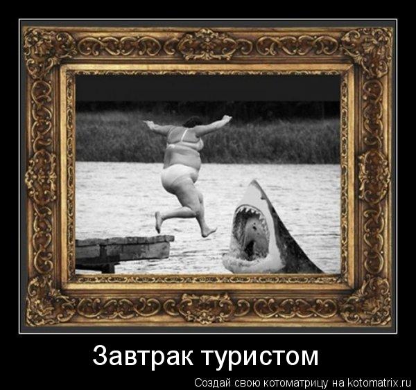 Завтрак туристом... Котоматрица: Завтрак туристом