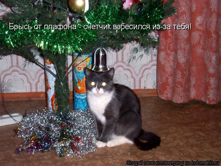 Брысь от плафона - счетчик взбесился из-за тебя!... Котоматрица: Брысь от плафона - счетчик взбесился из-за тебя!