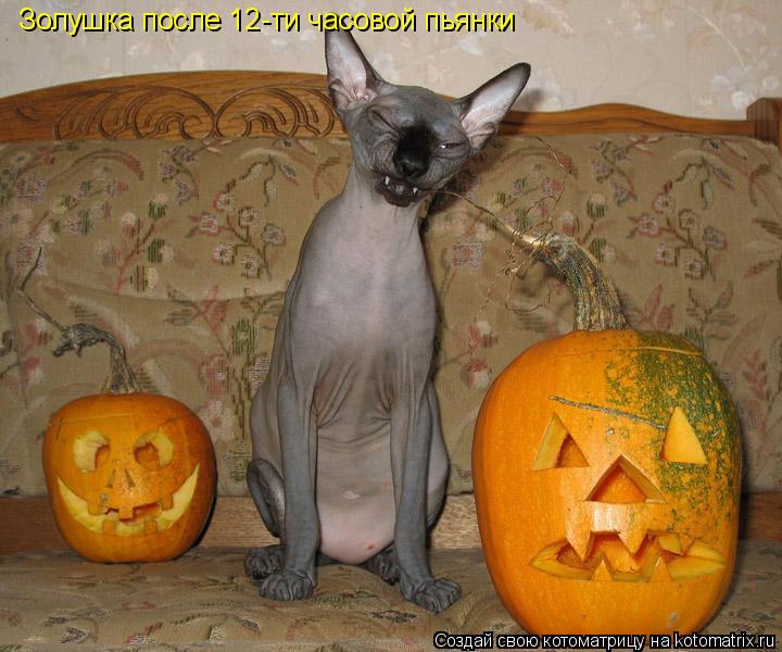 Золушка после 12-ти часовой пьянки... Котоматрица: Золушка после 12-ти часовой пьянки