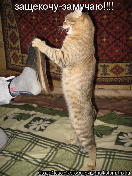 защекочу-замучаю!!!!... Котоматрица: защекочу-замучаю!!!!