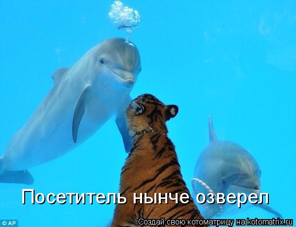 Посетитель нынче озверел... Котоматрица: Посетитель нынче озверел