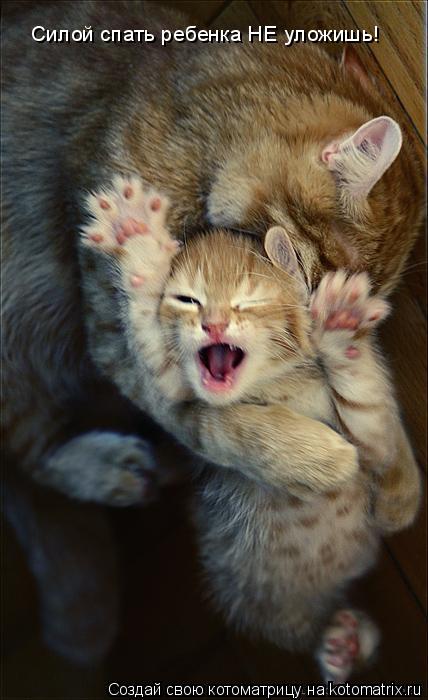 Силой спать ребенка НЕ уложишь!... Котоматрица: Силой спать ребенка НЕ уложишь!