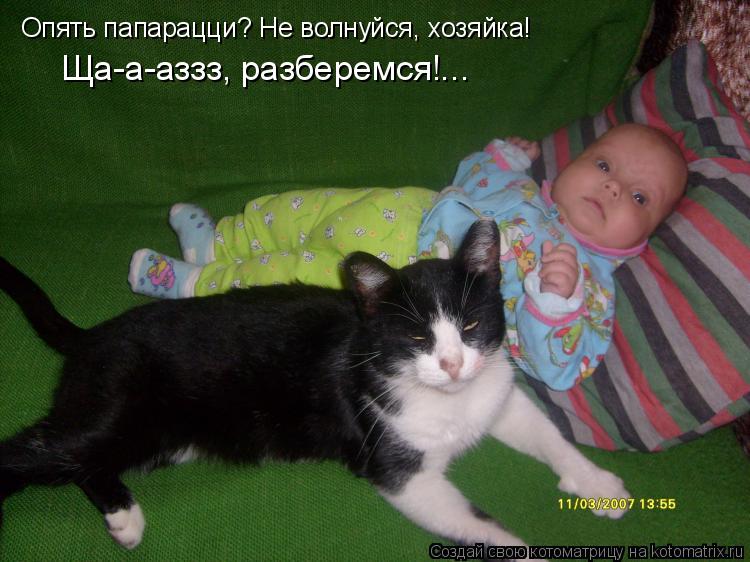 Опять папарацци? Не волнуйся, хозяйка! Ща-а-аззз, разберемся!...... Котоматрица: Опять папарацци? Не волнуйся, хозяйка! Ща-а-аззз, разберемся!...