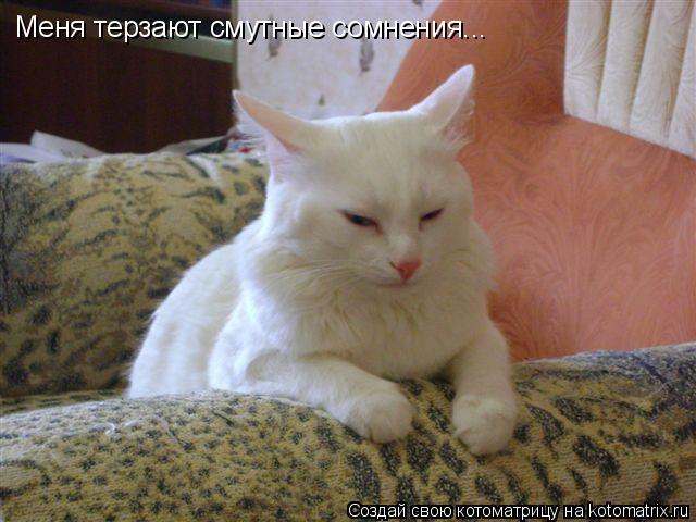 Меня терзают смутные сомнения...... Котоматрица: Меня терзают смутные сомнения...