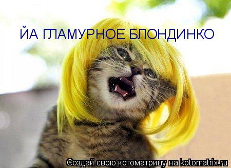 ЙА ГЛАМУРНОЕ БЛОНДИНКО... Котоматрица: ЙА ГЛАМУРНОЕ БЛОНДИНКО