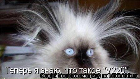 Теперь я знаю, что такое "V220".... Котоматрица: Теперь я знаю, что такое "V220".