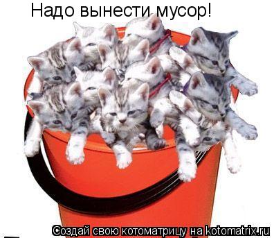 Надо вынести мусор!... Котоматрица: Надо вынести мусор!