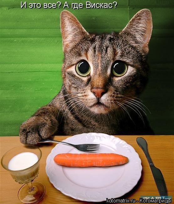 И это все? А где Вискас?... Котоматрица: И это все? А где Вискас?
