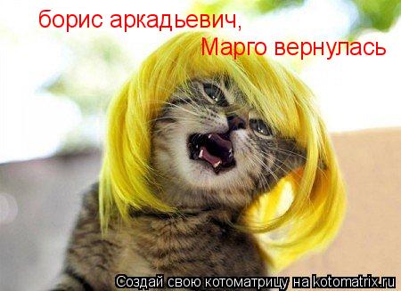 борис аркадьевич, Марго вернулась... Котоматрица: борис аркадьевич, Марго вернулась