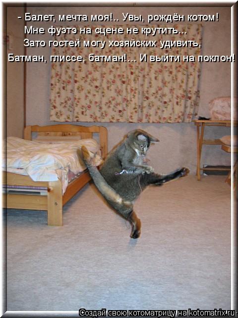 - Балет, мечта моя!.. Увы, рождён котом! Мне фуэтэ на сцене не крутить... Зато гостей могу хозяйских ... Котоматрица: - Балет, мечта моя!.. Увы, рождён котом! Мне фуэтэ на сцене не крутить... Зато гостей могу хозяйских удивить, Батман, глиссе, батман!... И выйти на