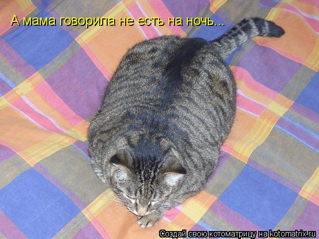 А мама говорила не есть на ночь...... Котоматрица: А мама говорила не есть на ночь...