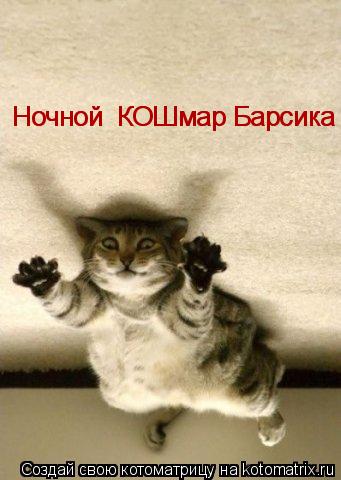 Ночной КОШмар Барсика Ночной КОШмар Барсика... Котоматрица: Ночной КОШмар Барсика Ночной КОШмар Барсика