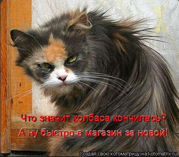 Что значит колбаса кончилась? Что значит колбаса кончилась? А ну быстро в магазин за новой! А ну быст... Котоматрица: Что значит колбаса кончилась? Что значит колбаса кончилась? А ну быстро в магазин за новой! А ну быстро в магазин за новой!
