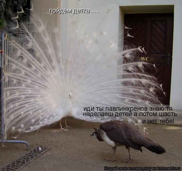 пойдём детка иди ты павлинхренов знаю тя наделаеш детей а потом шасть и нет тебя! ........ Котоматрица: пойдём детка иди ты павлинхренов знаю тя наделаеш детей а потом шасть и нет тебя! .....