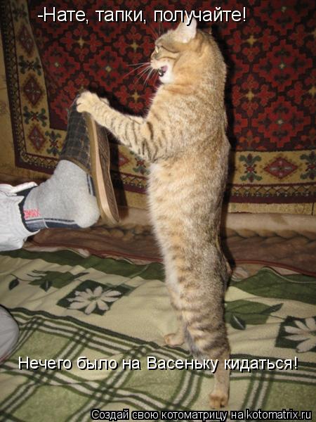 -Нате, тапки, получайте! Нечего было на Васеньку кидаться!... Котоматрица: -Нате, тапки, получайте! Нечего было на Васеньку кидаться!