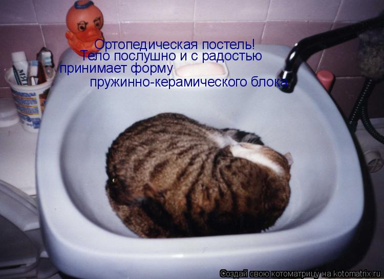 Ортопедическая постель! Тело послушно и с радостью принимает форму пружинно-керамического блока.... Котоматрица: Ортопедическая постель! Тело послушно и с радостью принимает форму пружинно-керамического блока.
