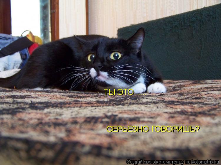 ТЫ ЭТО ..... СЕРЬЕЗНО ГОВОРИШЬ?... Котоматрица: ТЫ ЭТО ..... СЕРЬЕЗНО ГОВОРИШЬ?