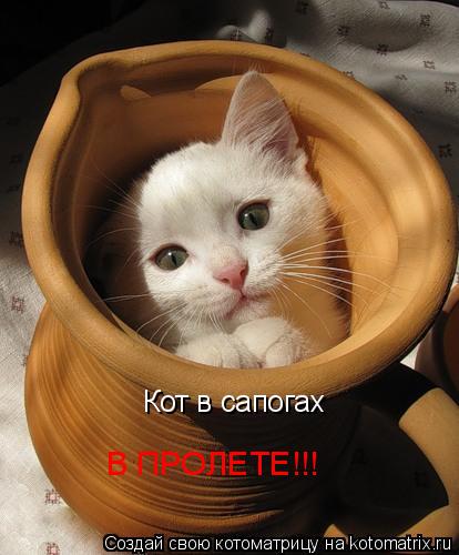 Кот в сапогах В ПРОЛЕТЕ!!!... Котоматрица: Кот в сапогах В ПРОЛЕТЕ!!!