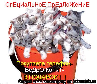СпЕцИаЛьНоЕ ПрЕдЛоЖеНиЕ Покупаете телефон- ВеДрО КоТяТ- В ПОДАРОК !_!... Котоматрица: СпЕцИаЛьНоЕ ПрЕдЛоЖеНиЕ Покупаете телефон- ВеДрО КоТяТ- В ПОДАРОК !_!