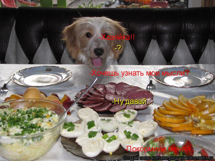 -Хозяйка!! -? -Хочешь узнать мои мысли? -Ну давай... -Покормиии меняя...... Котоматрица: -Хозяйка!! -? -Хочешь узнать мои мысли? -Ну давай... -Покормиии меняя...