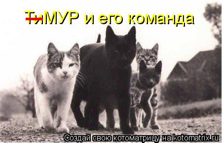 ТиМУР и его команда _... Котоматрица: ТиМУР и его команда _