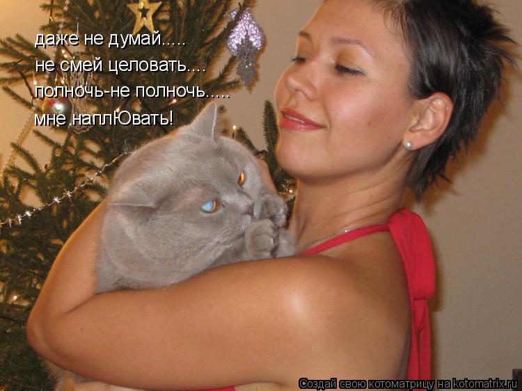 даже не думай..... не смей целовать.... полночь-не полночь..... мне наплЮвать!... Котоматрица: даже не думай..... не смей целовать.... полночь-не полночь..... мне наплЮвать!