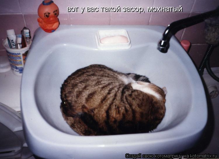 вот у вас такой засор, мохнатый... Котоматрица: вот у вас такой засор, мохнатый