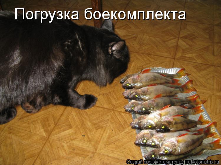 Погрузка боекомплекта... Котоматрица: Погрузка боекомплекта