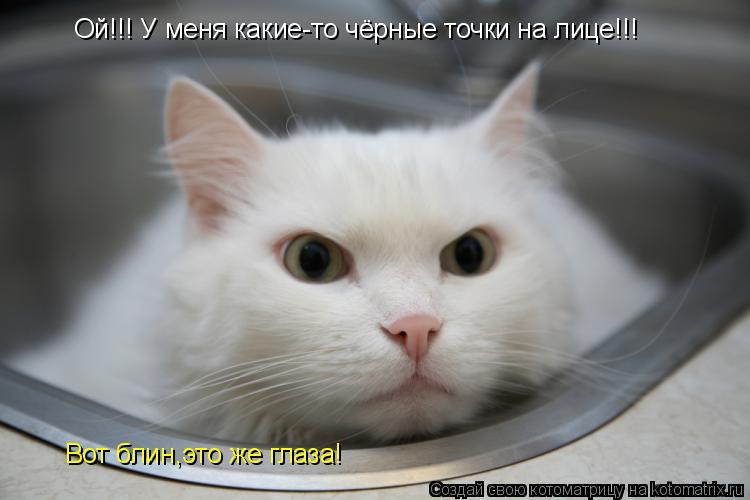 Ой!!! У меня какие-то чёрные точки на лице!!! Вот блин,это же глаза!... Котоматрица: Ой!!! У меня какие-то чёрные точки на лице!!! Вот блин,это же глаза!