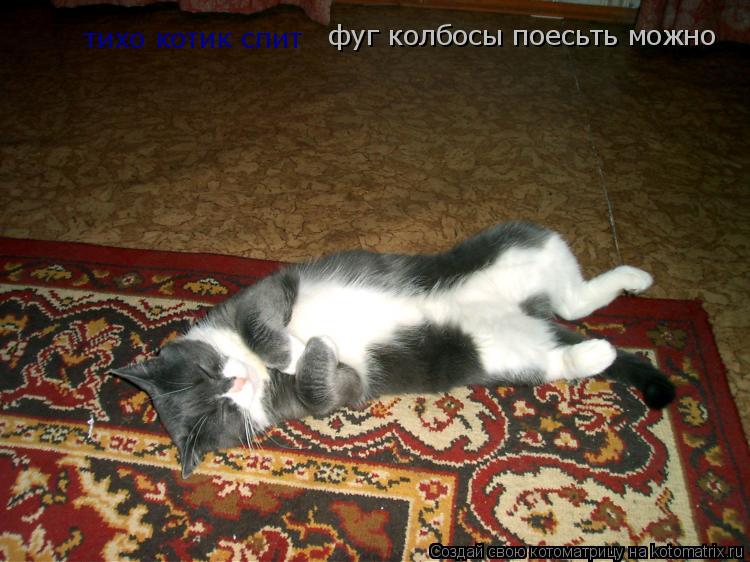 тихо котик спит фуг колбосы поесьть можно... Котоматрица: тихо котик спит фуг колбосы поесьть можно