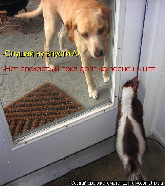 -Слушай ну впусти А! -Нет блохастый пока -Нет блохастый пока долг не вернешь нет!... Котоматрица: -Слушай ну впусти А! -Нет блохастый пока -Нет блохастый пока долг не вернешь нет!
