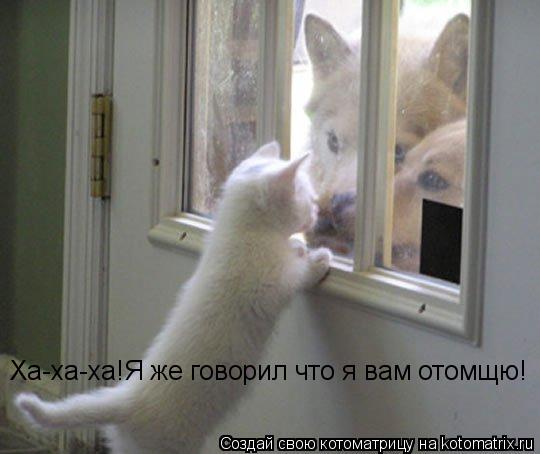 Ха-ха-ха!Я же говорил что я вам отомщю!... Котоматрица: Ха-ха-ха!Я же говорил что я вам отомщю!