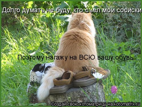 Долго думать не буду, кто съел мои сосиски. Поэтому нагажу на ВСЮ вашу обувь...... Котоматрица: Долго думать не буду, кто съел мои сосиски. Поэтому нагажу на ВСЮ вашу обувь...