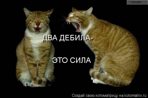 ДВА ДЕБИЛА- ЭТО СИЛА... Котоматрица: ДВА ДЕБИЛА- ЭТО СИЛА