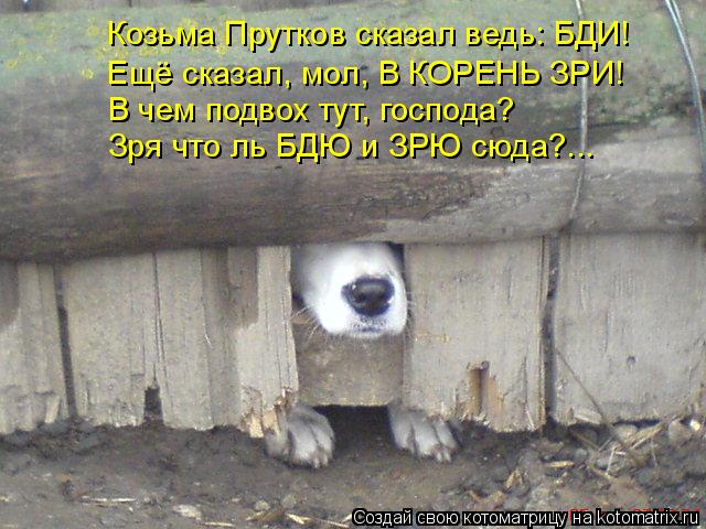 Ещё сказал, мол, В КОРЕНЬ ЗРИ! Зря что ль БДЮ и ЗРЮ сюда?... В чем подвох тут, господа? Козьма Прутко... Котоматрица: Ещё сказал, мол, В КОРЕНЬ ЗРИ! Зря что ль БДЮ и ЗРЮ сюда?... В чем подвох тут, господа? Козьма Прутков сказал ведь: БДИ!