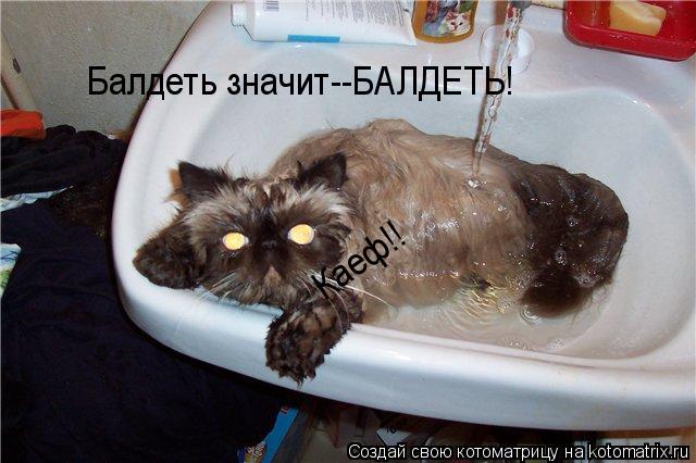 Балдеть значит--БАЛДЕТЬ! Каеф!!... Котоматрица: Балдеть значит--БАЛДЕТЬ! Каеф!!