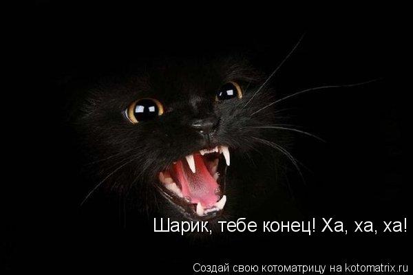 Шарик, тебе конец! Ха, ха, ха!... Котоматрица: Шарик, тебе конец! Ха, ха, ха!