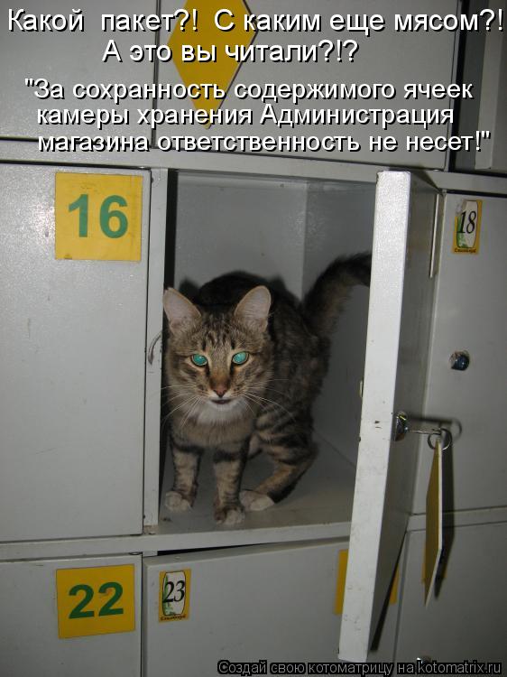 Какой пакет?! С каким еще мясом?! А это вы читали?!? "За сохранность содержимого ячеек камеры хр... Котоматрица: Какой пакет?! С каким еще мясом?! А это вы читали?!? "За сохранность содержимого ячеек камеры хранения Администрация магазина ответственно